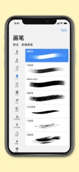procreate pocket