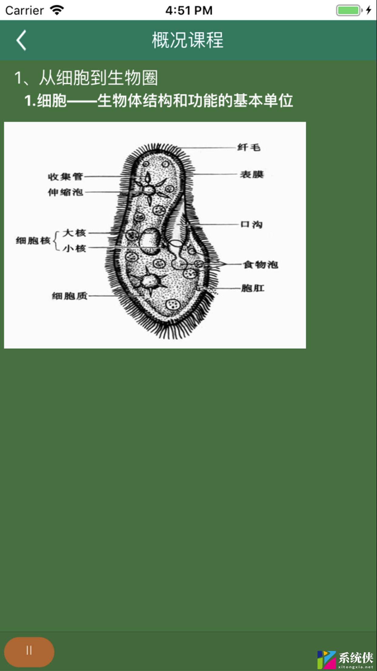 松鼠高中生物