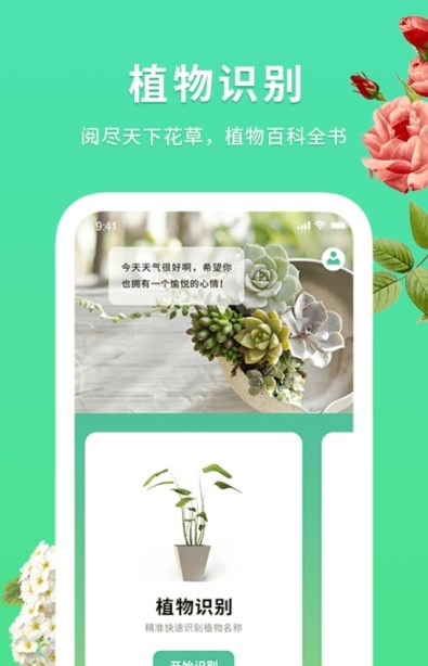 花伴识别图片
