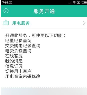 掌上电力密码