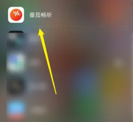 番茄畅听怎么下载歌曲 关于番茄畅听下载音频方法介绍