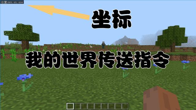 我的世界怎么传送坐标？-我的世界传送坐标的方法