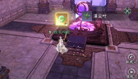 濯尘叶示例