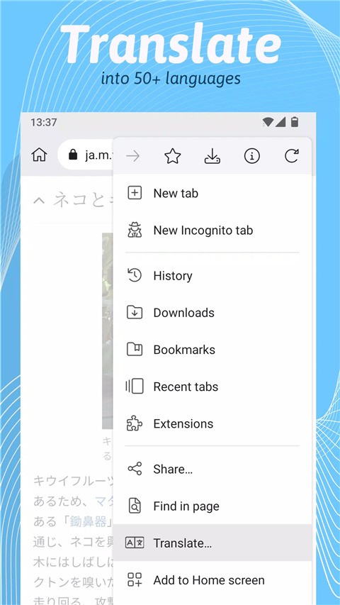 kiwi浏览器下载官网版-kiwi浏览器中文版官网版最新版下载 运行截图3