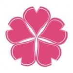 樱花动漫 v5.0.1.2