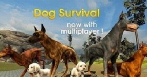 狗狗模拟器内置作弊菜单版下载-狗狗模拟器无限金币版v1.9.1 安卓版 运行截图3