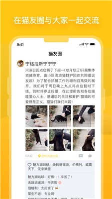 哈啰街猫app官网版下载_哈啰街猫最新版下载v1.31.0 安卓版 运行截图3