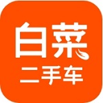 白菜二手车 v3.6.1