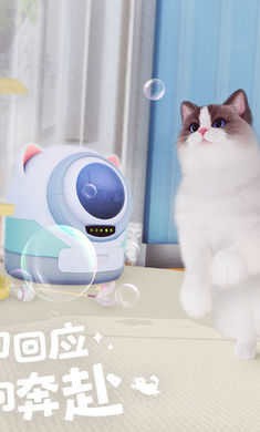 我和我的猫手游下载手机版-我和我的猫下载安装手机版 运行截图2