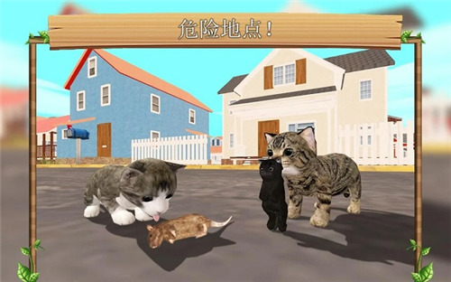 猫咪生存模拟器更新版本下载-猫咪生存模拟器无限金币无限钻石版下载v4.1 运行截图3