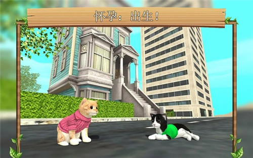 猫咪生存模拟器更新版本下载-猫咪生存模拟器无限金币无限钻石版下载v4.1 运行截图1