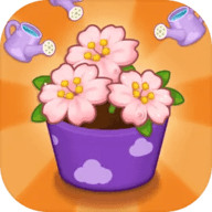消消消花园版