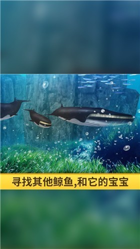 海洋3d蓝鲸模拟安卓版下载_海洋3d蓝鲸模拟安卓最新版下载免费 运行截图3