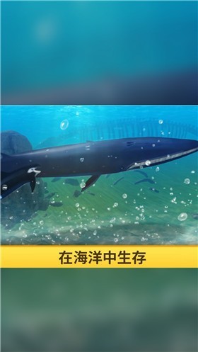 海洋3d蓝鲸模拟安卓版下载_海洋3d蓝鲸模拟安卓最新版下载免费 运行截图2