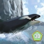 海洋3d蓝鲸模拟安装