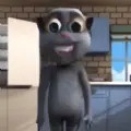 会说话的小猫咪 v1.0