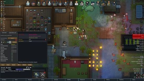 环世界(RimWorld)手机版下载_环世界手机版免费下载 v0.3.4中文版 运行截图3