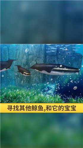 海洋3D蓝鲸模拟游戏截图