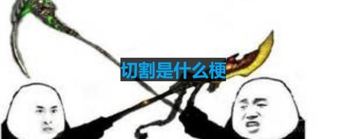 网络用语切割
