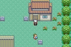 口袋妖怪全神兽解锁版最新下载-口袋妖怪全神兽解锁版下载-口袋妖怪全神兽解锁版 运行截图3