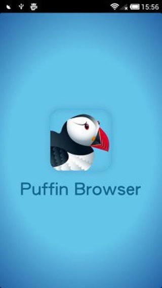 puffin浏览器2025最新版-puffin浏览器最新版下载 8.2.63 官方版 运行截图3