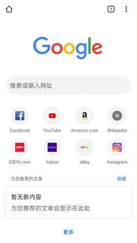 谷歌浏览器免费入口-谷歌浏览器官方最新版下载 运行截图3