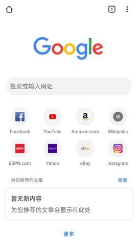 谷歌浏览器安全功能截图 谷歌浏览器安全功能截图