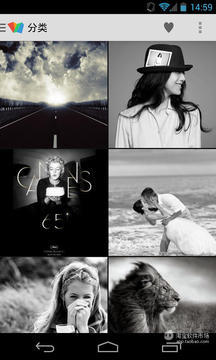 爱疯了壁纸高清壁纸展示