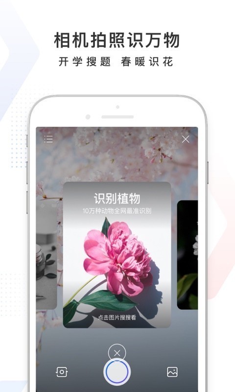 手机百度安装下载-2021手机百度最新版本客户端下载v12.3.0 运行截图3