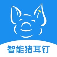 数据猪 v1.0.11